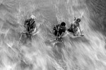 2024 019 Sergileme Amirhossein YOUSEFI KEYSARI Fisherman