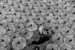 2024 019 Sergileme Aung PYII YZONE Umbrella worker