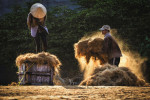 2024 019 Sergileme Ngoc Anh BACH HARD WORK