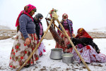 2024 019 Sergileme Saeid GHASEMI make butter