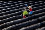 2024 019 Sergileme So Pyay LYNN The Farmer s Daily Work