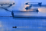 2024 019 Sergileme Xinghua CHEN Dream fisherman s song