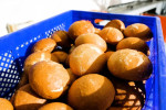 ekmek 001