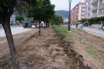 km park 002