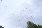 29ekim 013