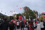 29ekim 026