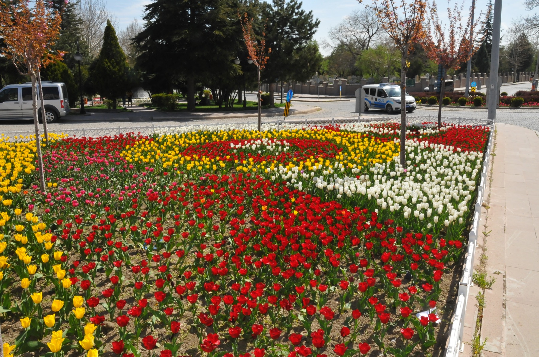 Ciceklerle aksehir 004