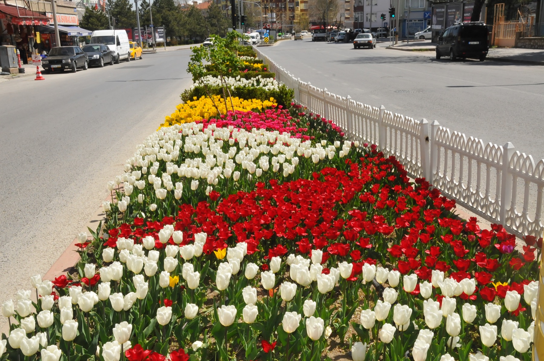 Ciceklerle aksehir 008